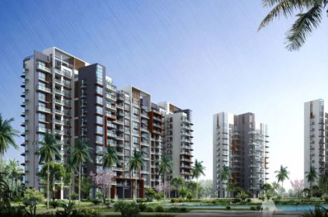 ?？凇ぬ旌?guó)際44棟別墅室外魚池水處理工程